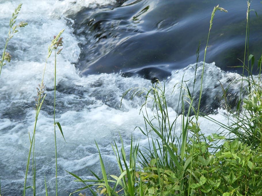water, grass river, landscape, flow, motion, nature, plant HD wallpaper