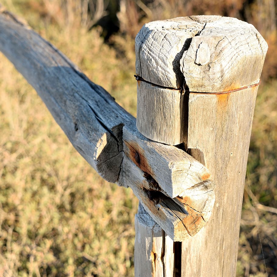 fence, wood, woodwind, rust, signs, time, usury, nature, wood - material HD wallpaper