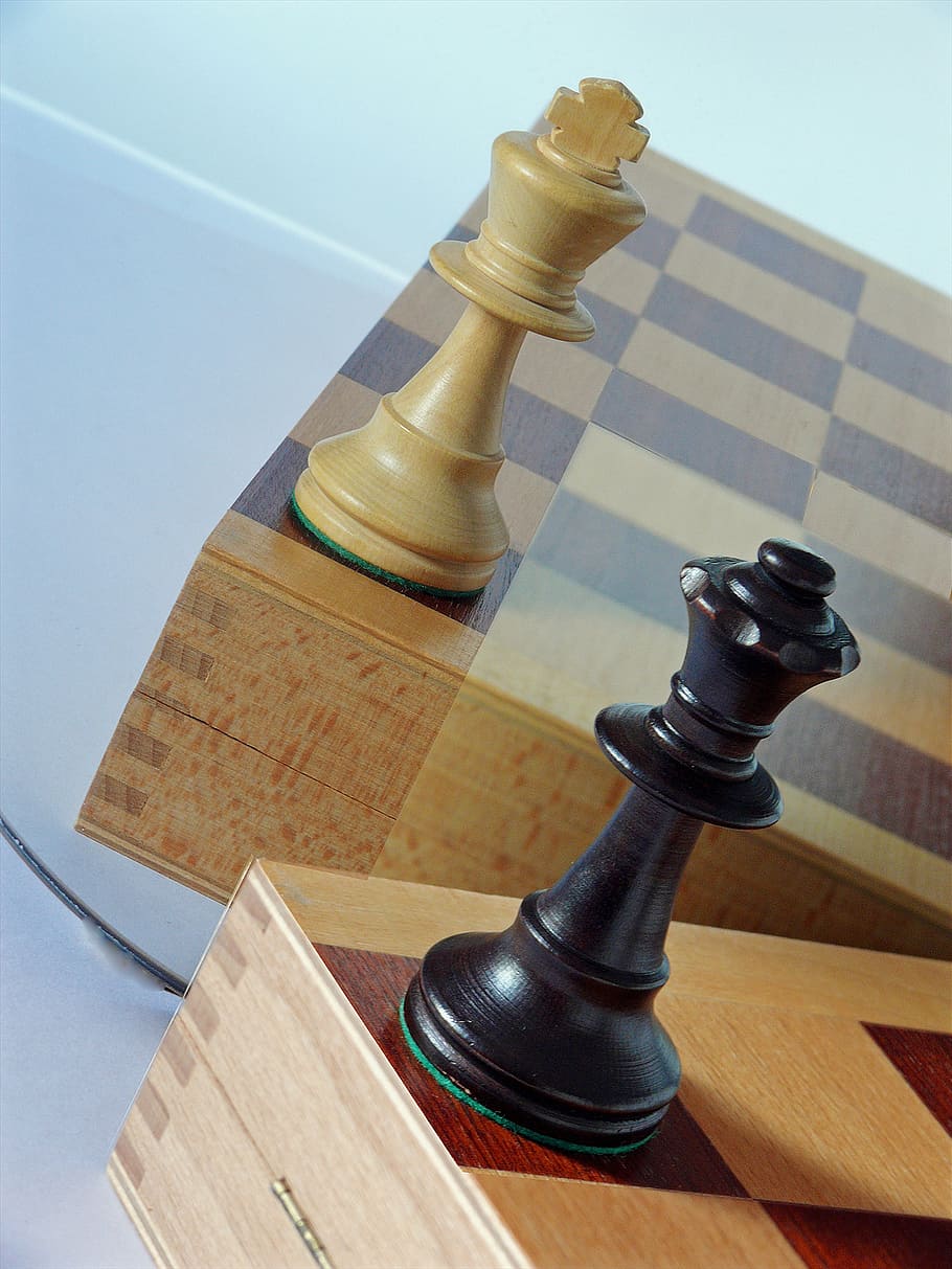 two brown and black chess piece, bauer, board game, lady, window