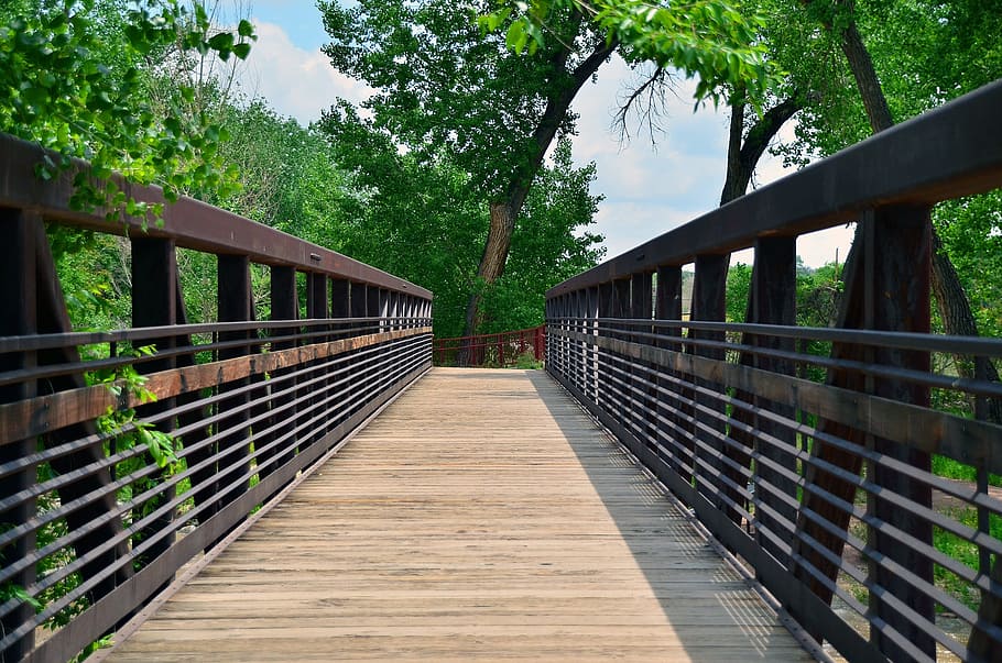 bridge, walkway, outdoor, path, nature, park, natural, wood HD wallpaper