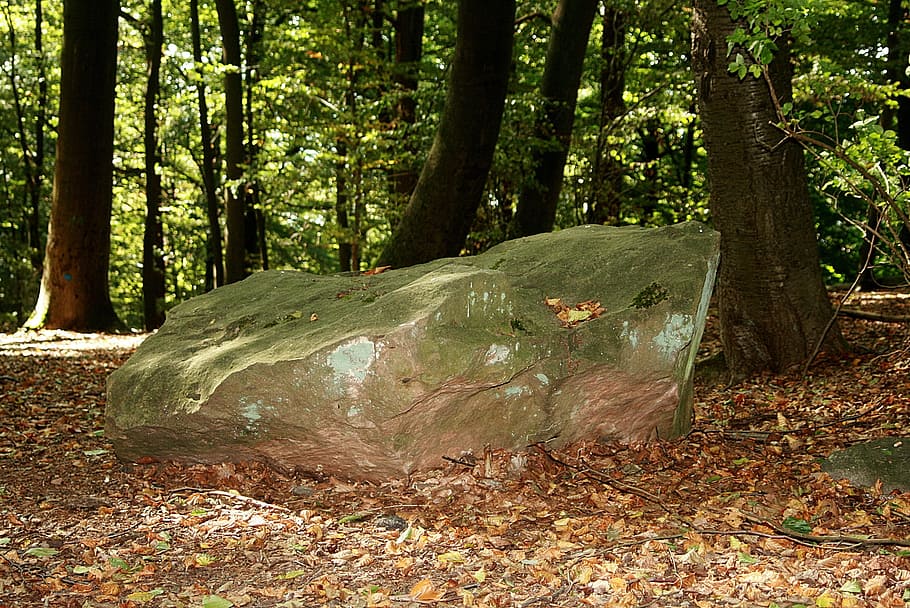 stone, forest, large, powerful, enormous, hill, tree, land HD wallpaper