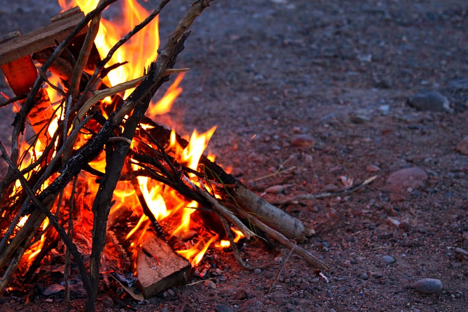 close up of bonfire, flames, combustion, palo, fire light, heat HD wallpaper