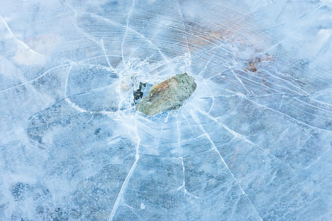 cracked ice panel, untitled, winter, from above, broken, animal HD wallpaper