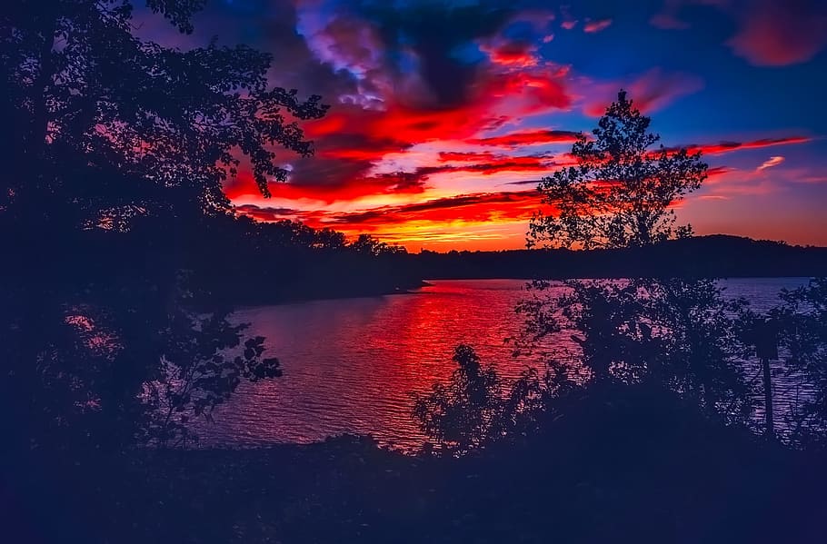 silhouette photo of a trees near the lake, lake lanier, georgia