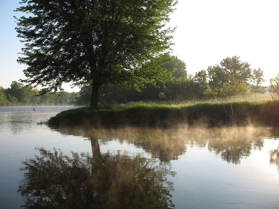 River, Reflection, Water, Fog, Scenic, nature, tree, lake, landscape HD wallpaper