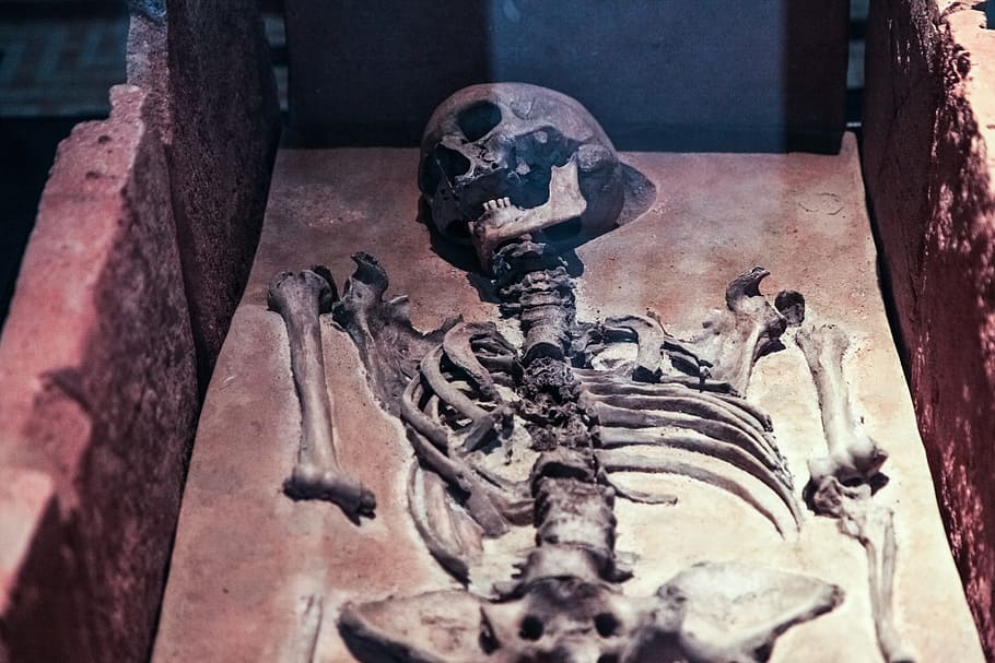 human skeleton in brown surface, Skull, Old, Ancient, Dead HD wallpaper