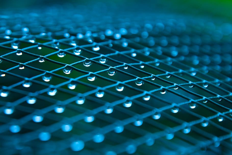 selective focus photo of teardrop on mesh fence, droplets, drops HD wallpaper