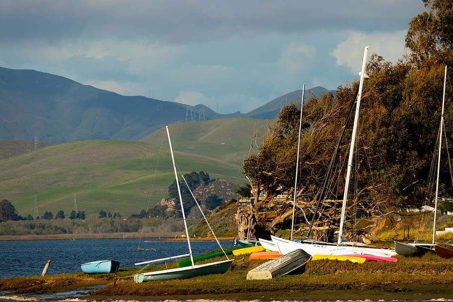 HD wallpaper: morro bay, baywood park, central california, los osos ...