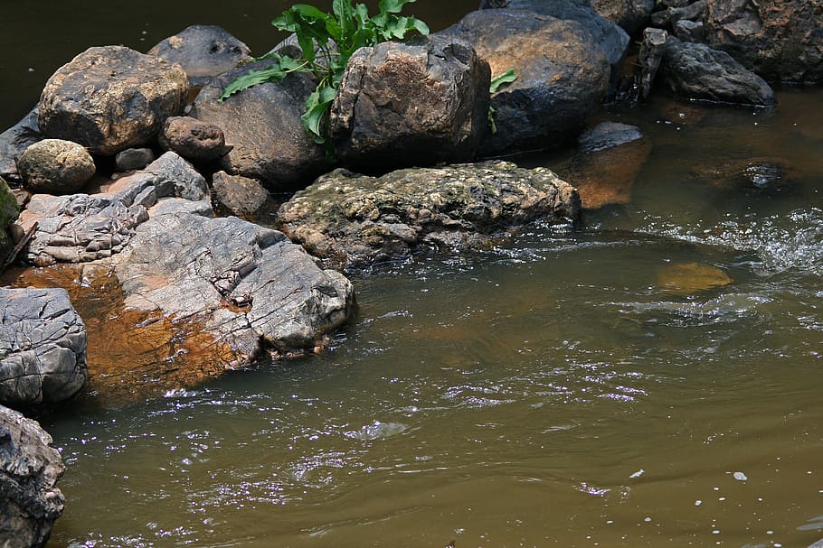 rocks in stream, water, brook, spring, flowing, rugged, natural, HD wallpaper