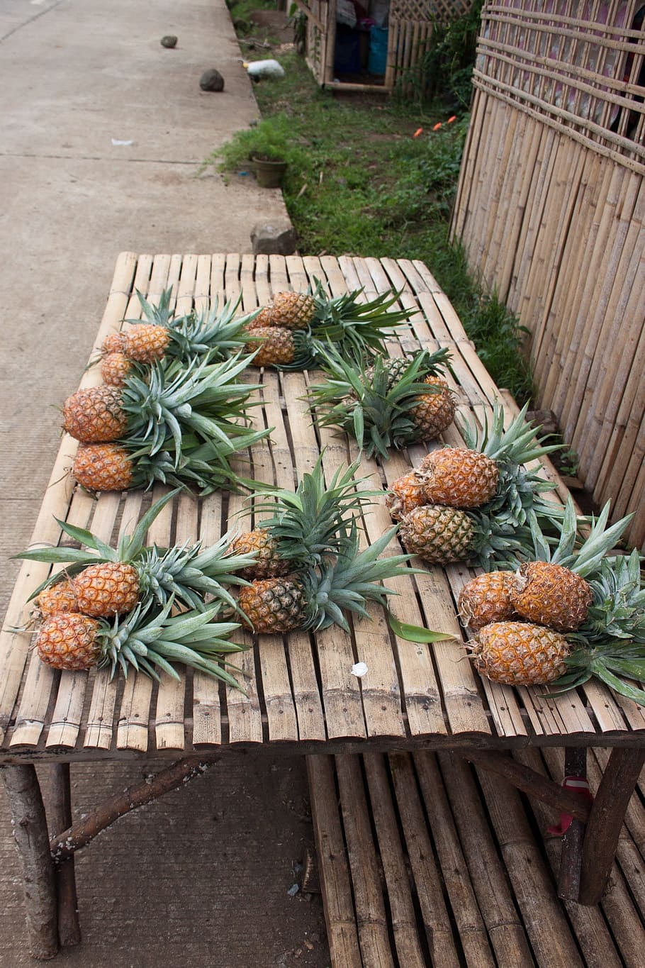 Pineapple, Fruits, Table, young pineapple, exotic, plant, tropical fruits HD wallpaper