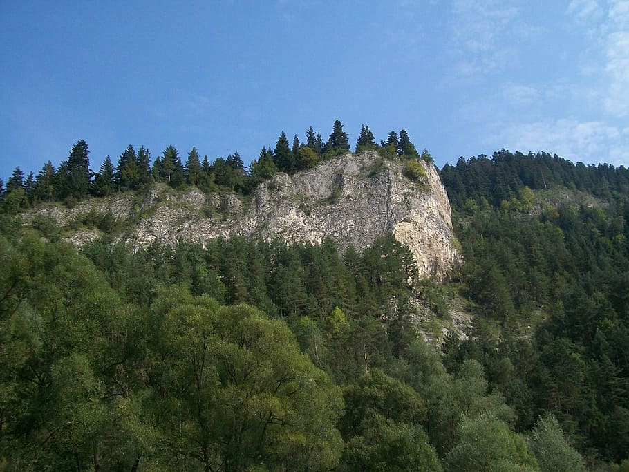 nature, rocks, poland, forest, mountain, tree, landscape, scenics HD wallpaper