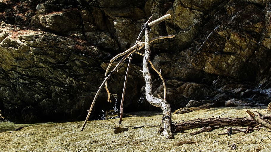 beach, wild, camping, stick, summer, nature, solid, rock, rock - object HD wallpaper