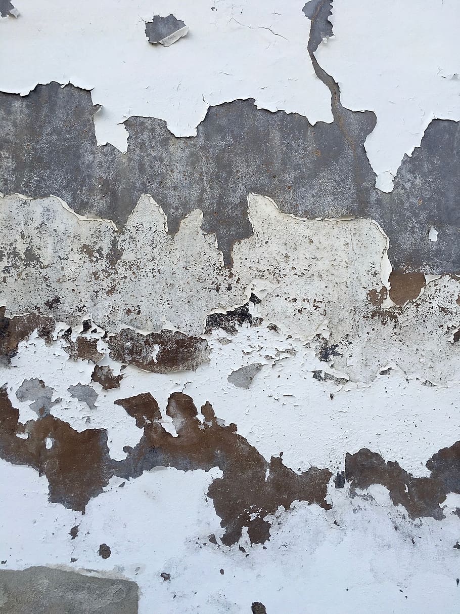 wall, texture, white, no people, winter, weathered, full frame HD wallpaper