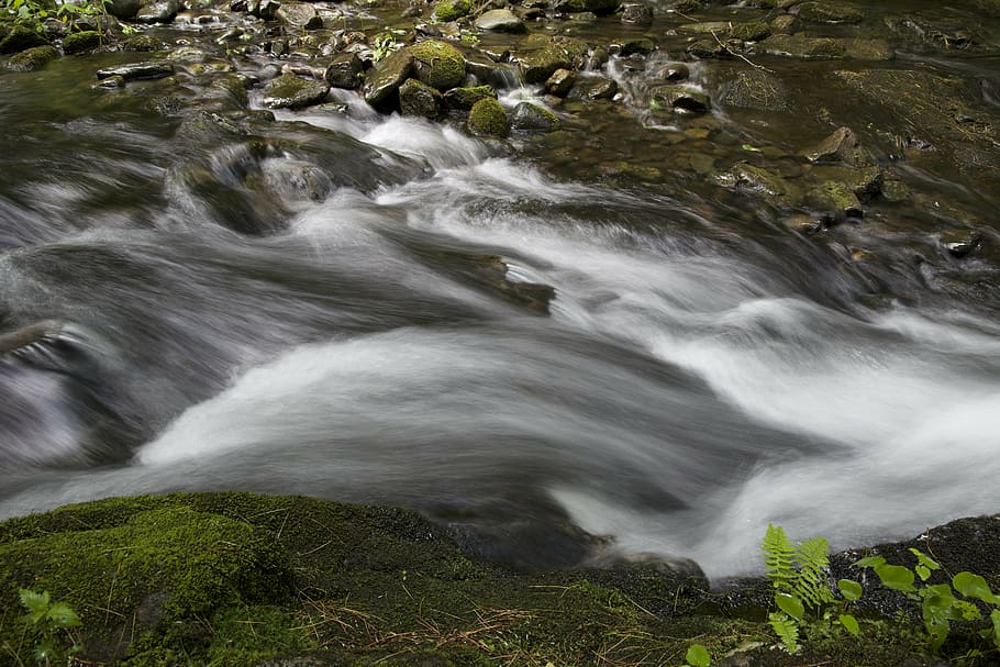 fast, nature, river, rocks, stream, water, motion, beauty in nature HD wallpaper
