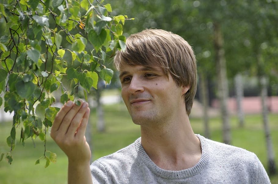 man wearing gray crew-neck top while touching green leaf plants during daytime HD wallpaper