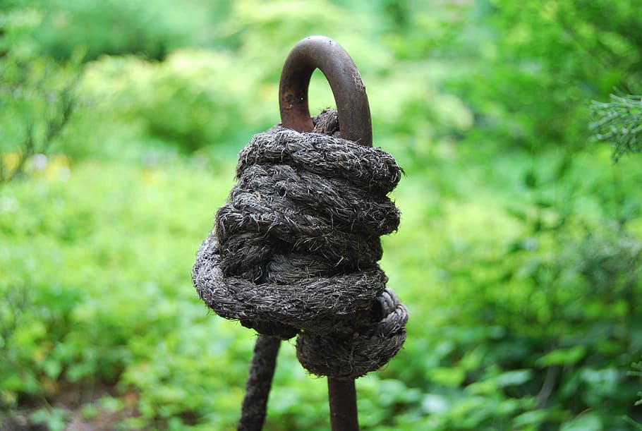 knot, field, rope, focus on foreground, no people, nature, day HD wallpaper
