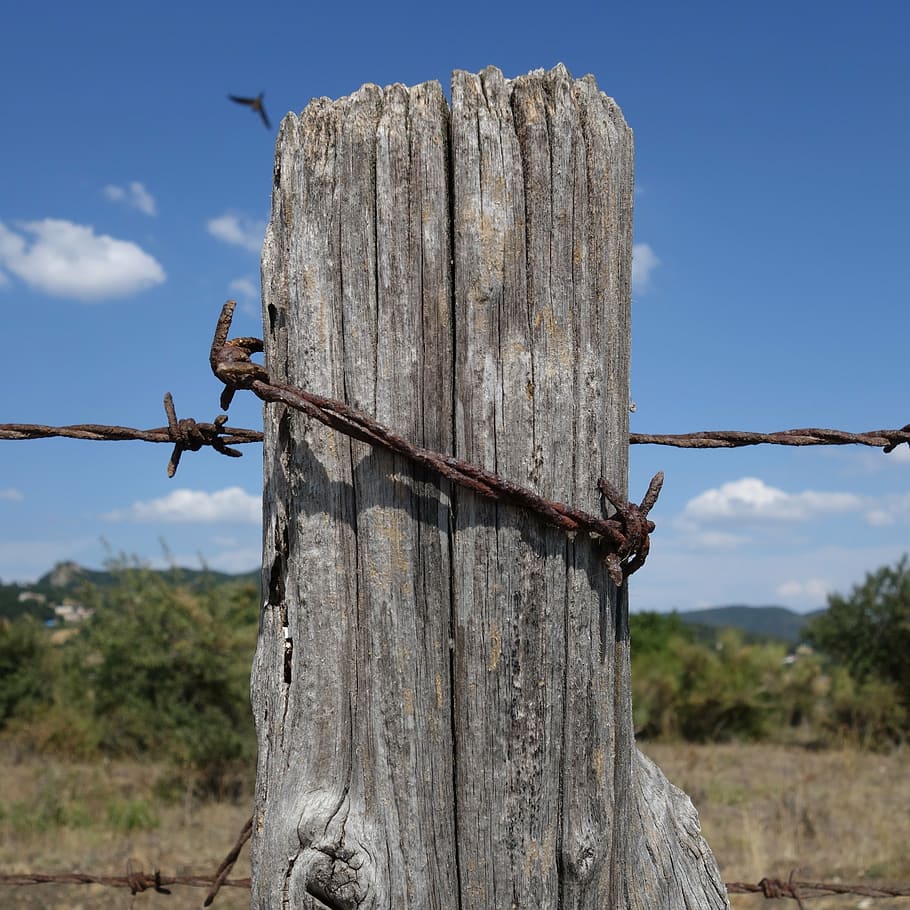 barbed wire, post, rusty, wood, dry, pile, fence, border, wood - material HD wallpaper