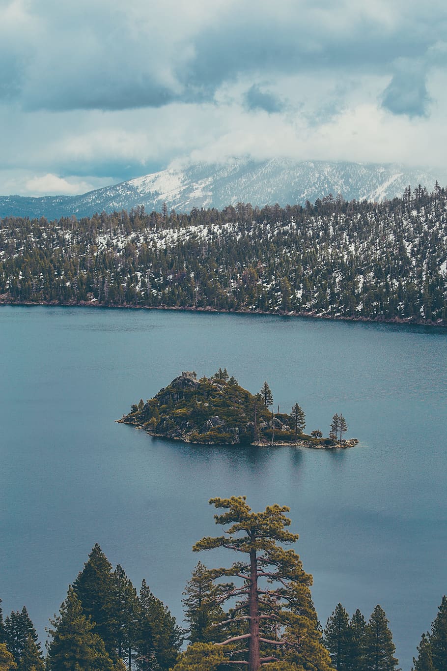 island surrounded body of water, South Lake tahoe, forest, cloud HD wallpaper