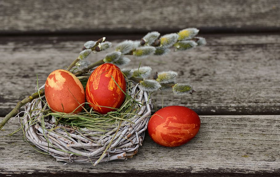 three eggs in the nest, easter eggs, easter nest, easter decoration HD wallpaper