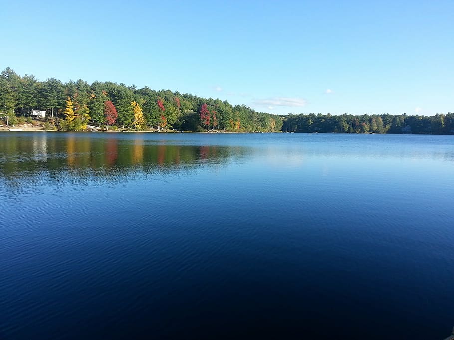 lake, nature, reflection, summer, sky, blue, water, spring HD wallpaper