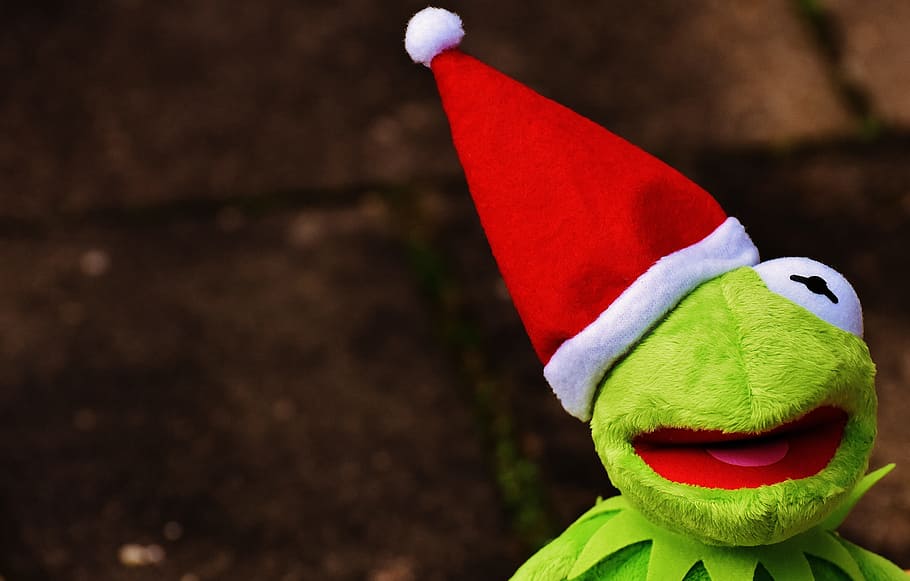 Kermit the frog with santa hat, Christmas, Cute, funny, christmas time
