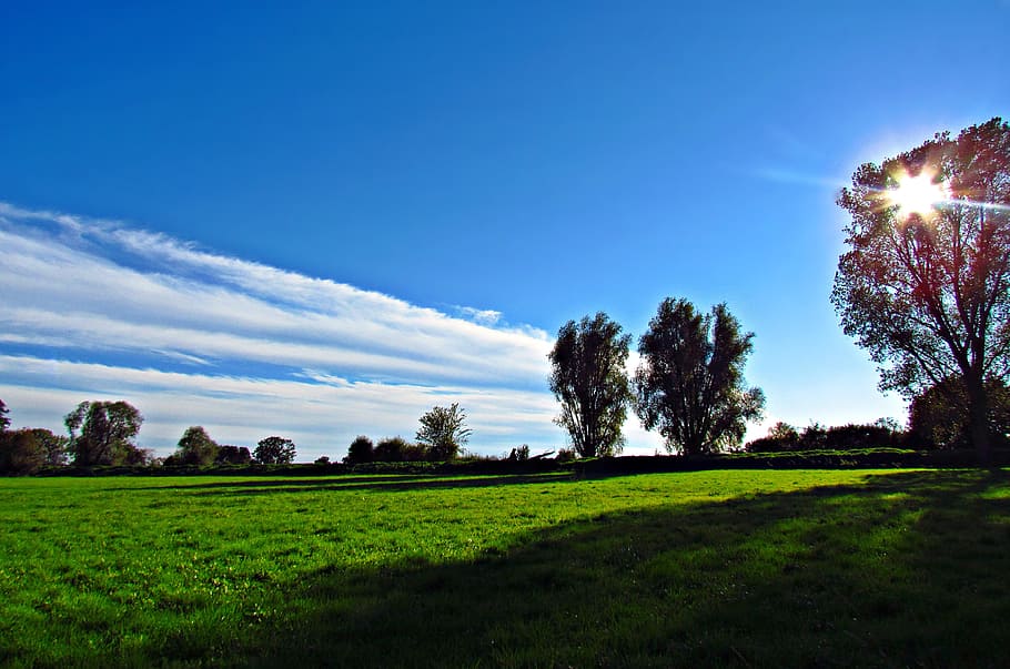 spring, meadow, green, grass, clouds, the sun, nature, landscape HD wallpaper