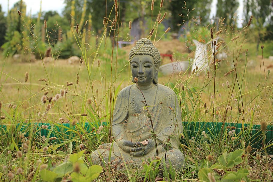 Buddha Garden Xx Full Hd - Buddha in the garden 1080P, 2K, 4K, 5K HD wallpapers free download |  Wallpaper Flare