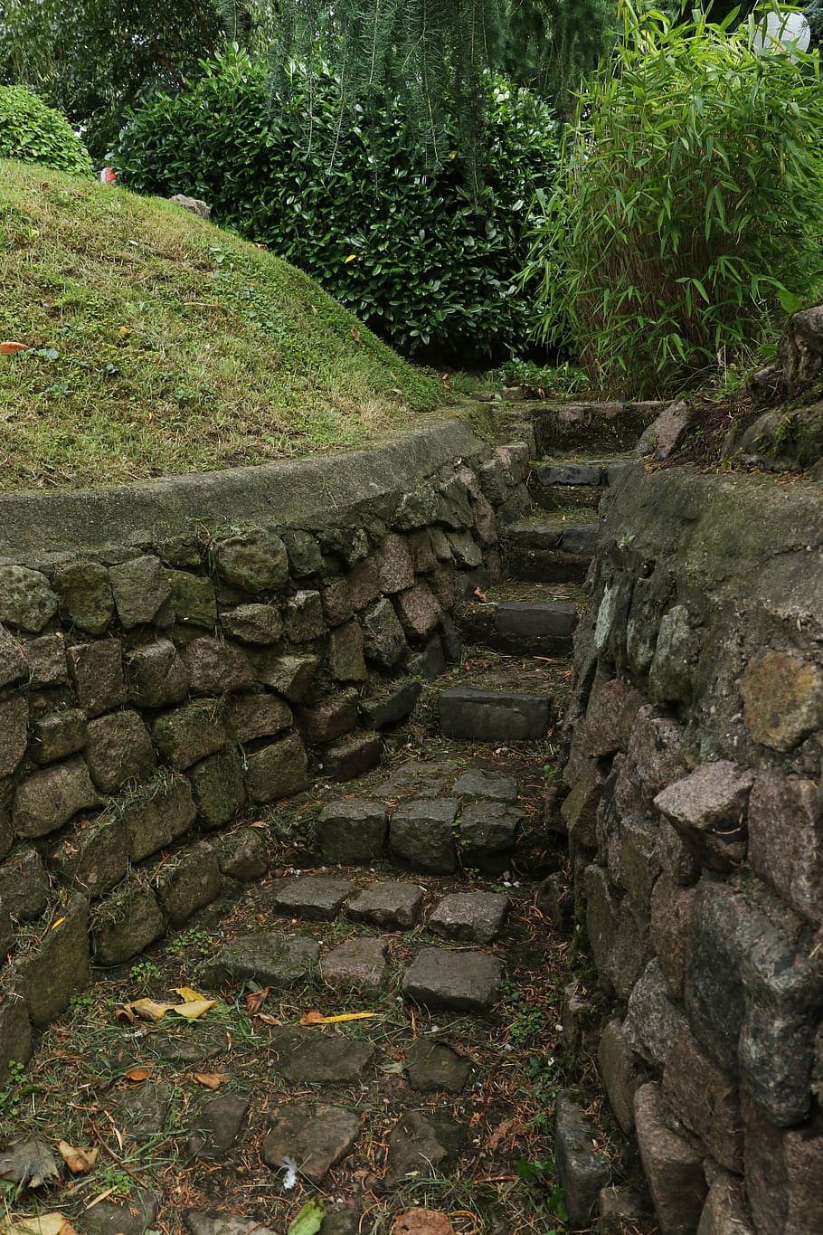 rocks, path, landscape, staircase, plant, solid, direction HD wallpaper