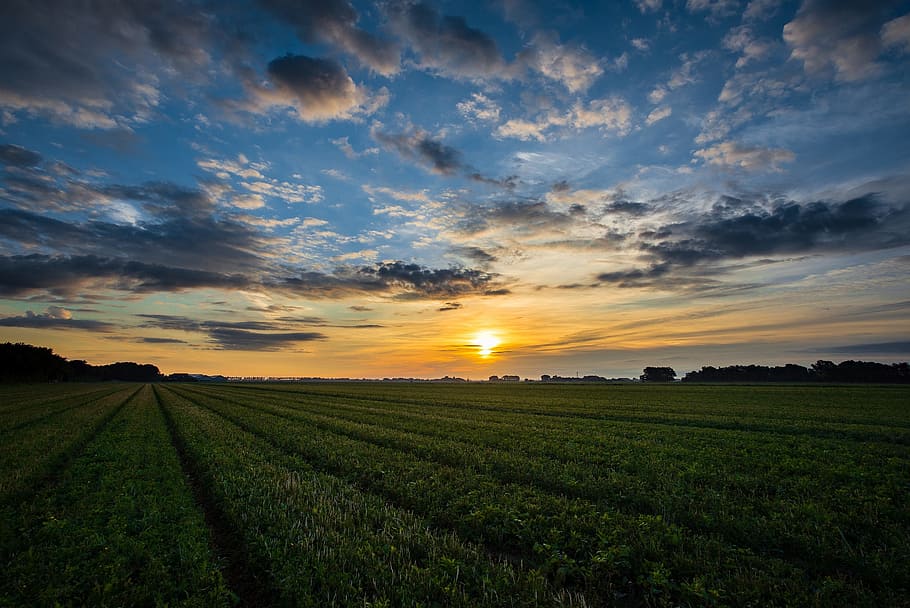 sunrise, field, fields, nature, landscape, morning hour, lighting HD wallpaper