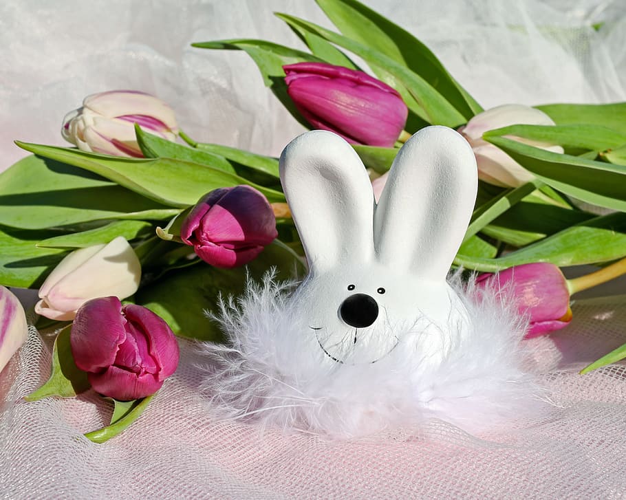 white rabbit head figurine, easter bunny, figure, hare, cute HD wallpaper