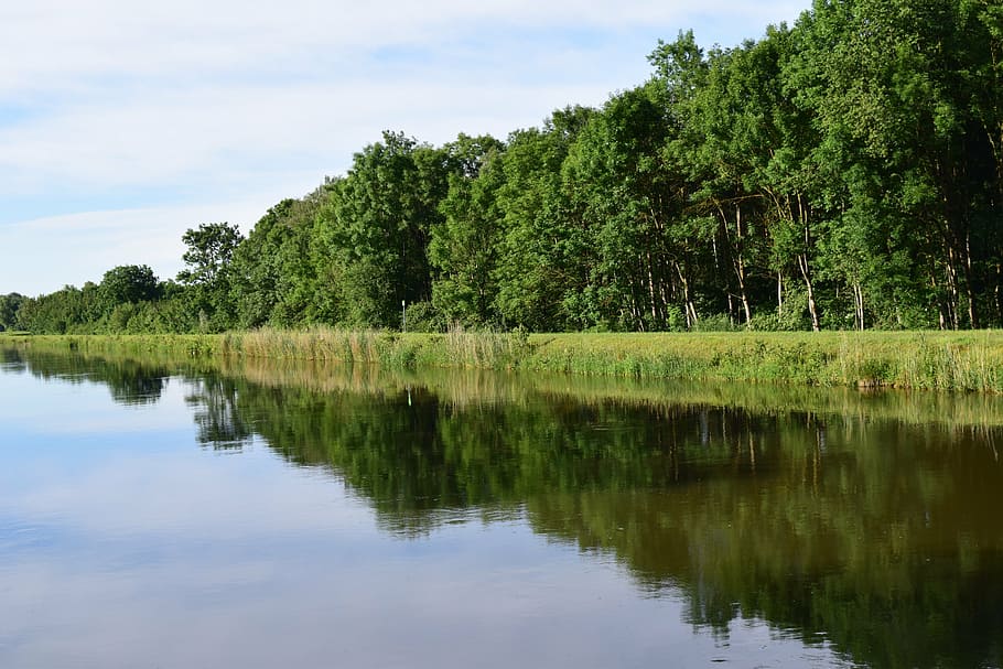river, mirroring, water, forest, reflection, summer, silent HD wallpaper