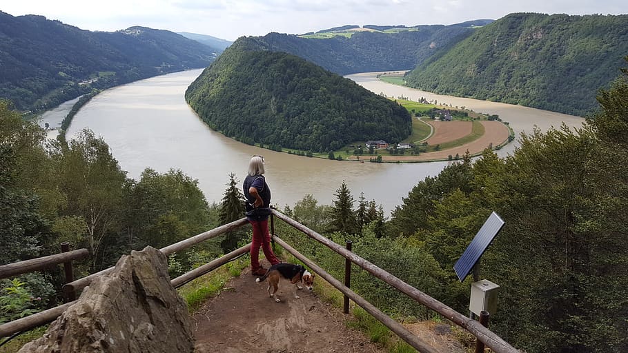 danube loop, upper austria, view, hiking, more, tree, plant HD wallpaper