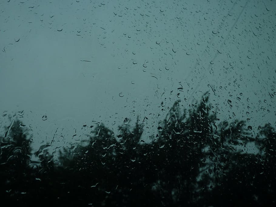 rain, clouds, partly cloudy, trees, dark, water, window, no people HD wallpaper