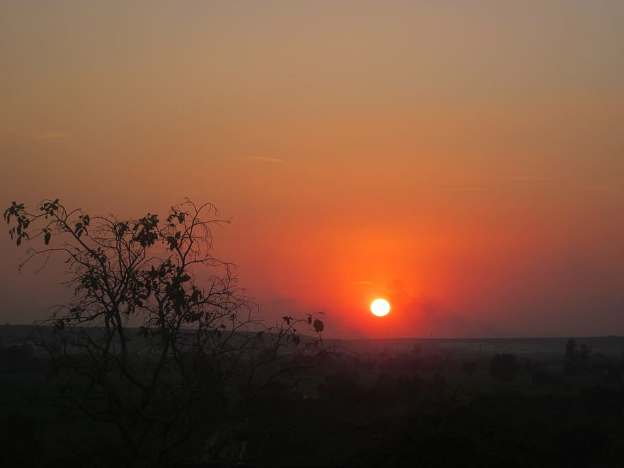 Sunset, Nature, Sunrise, summer, sky, light, orange, silhouette HD wallpaper