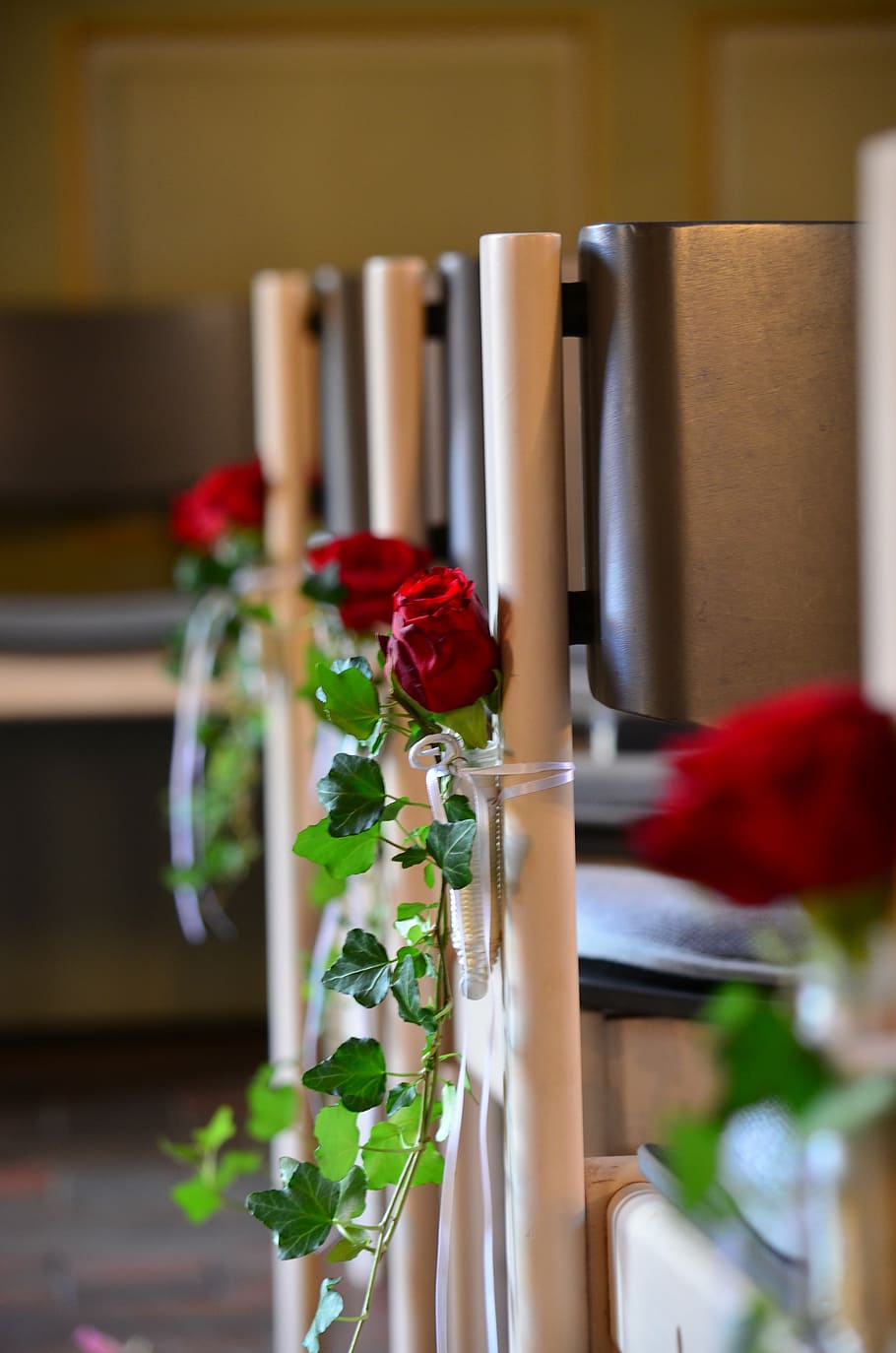 decorated, roses, chairs, wedding, church, flowers, flowering plant HD wallpaper