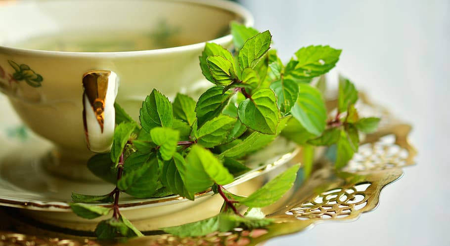 green leaves on white plate, peppermint, peppermint tea, tee, HD wallpaper