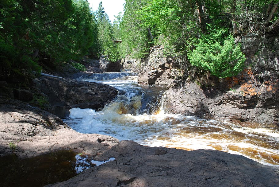 rocks, stream, river, trees, flowing, plant, beauty in nature HD wallpaper