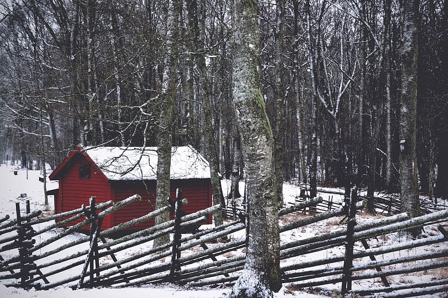 house in woods, trees, snow, winter, fence, trunk, braches HD wallpaper