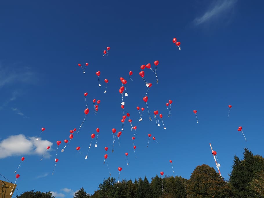 balloons, fly, wedding, congratulations, rise, upgrade, heart HD wallpaper