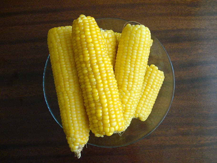 sweet corn, crops, food, vegetable, food and drink, wellbeing HD wallpaper