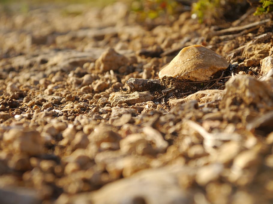pebbles, stones, focus, nature, selective focus, land, close-up HD wallpaper