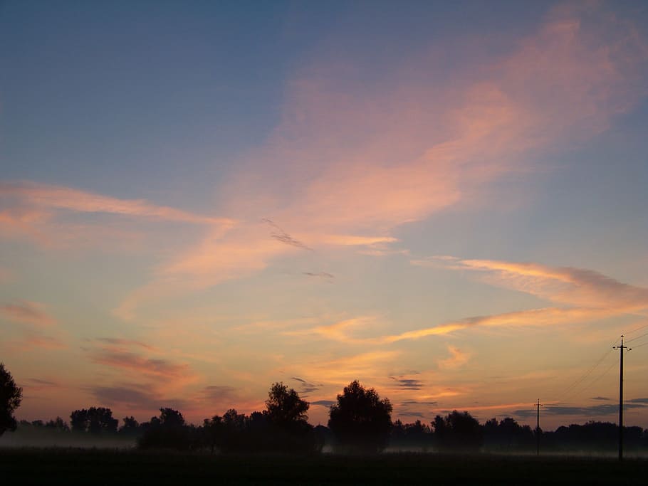 sky, evening sky, sunset, clouds, cloud - sky, tree, tranquility HD wallpaper