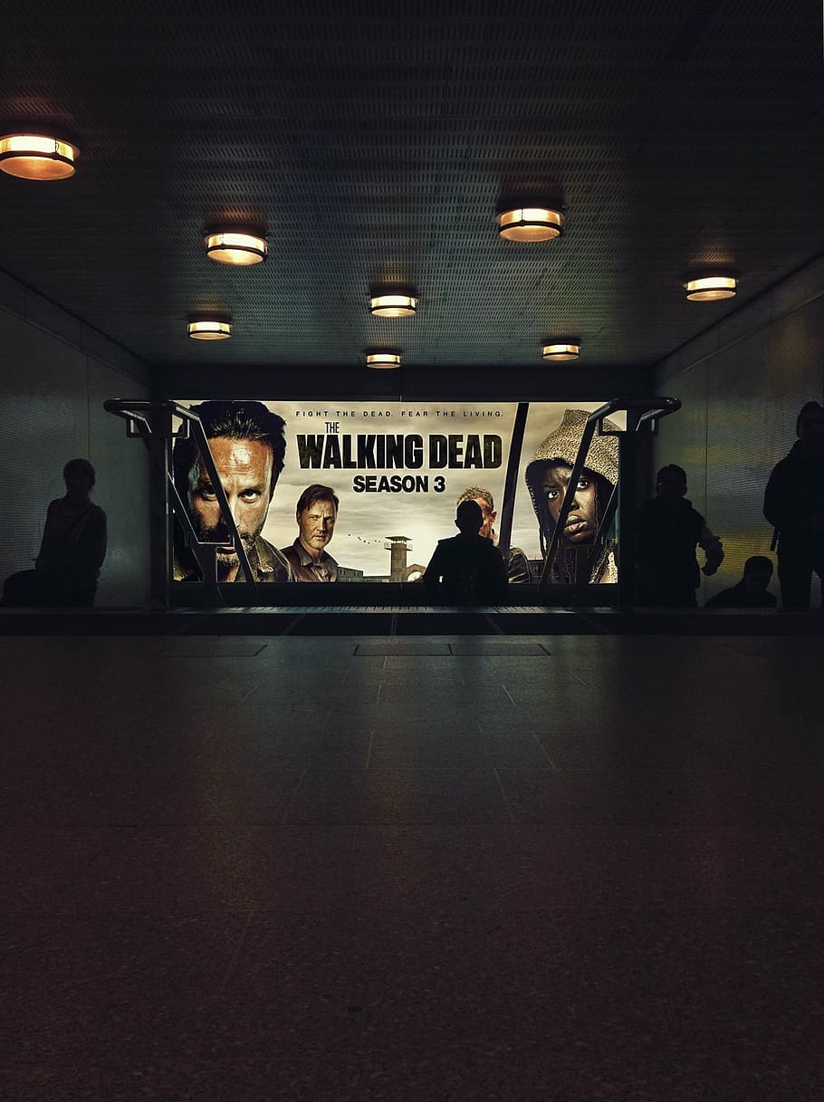 The Walking Dead Season 3 poster, cinema, film, movie, theater, HD wallpaper