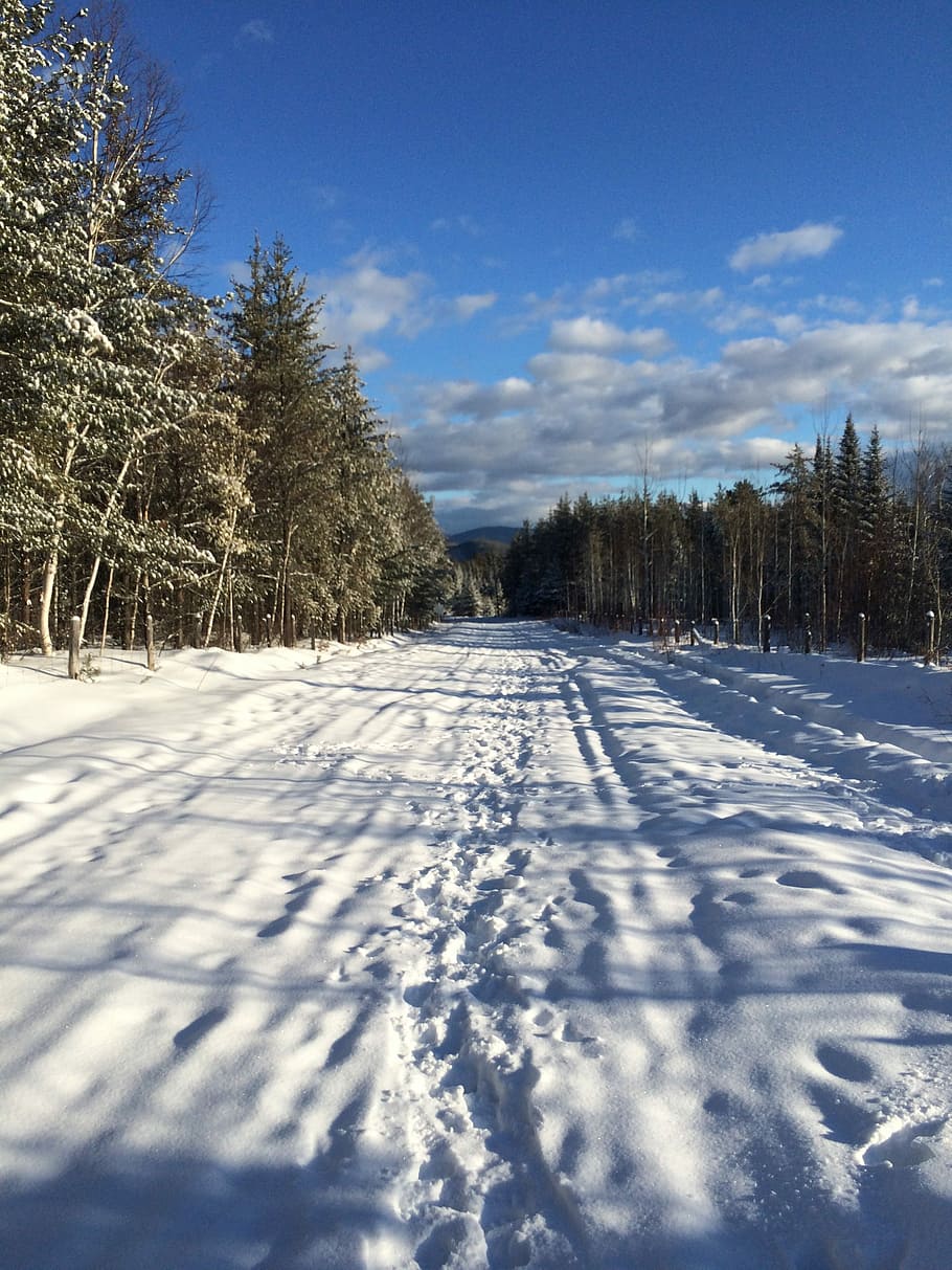 Canada, Winter, Quebec, Snow, Way, Path, forest, cold temperature HD wallpaper