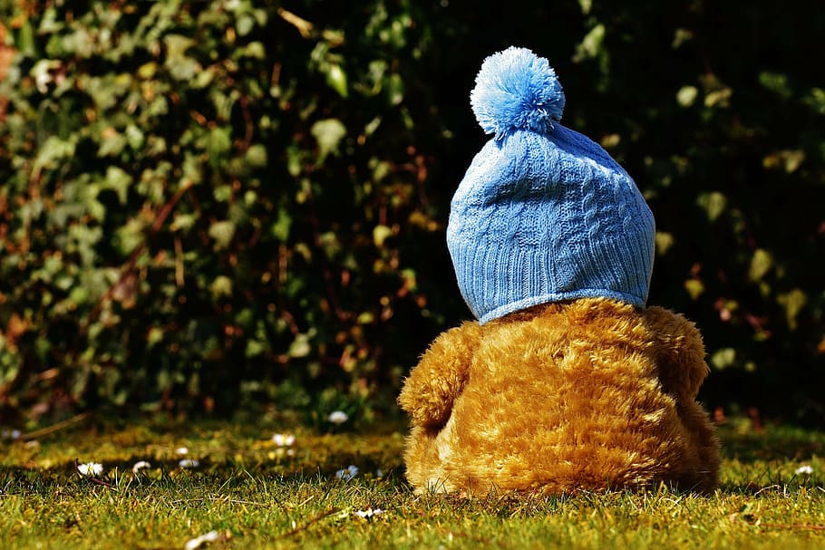 brown teddy bear wearing blue bobble hat on green grass, cap HD wallpaper