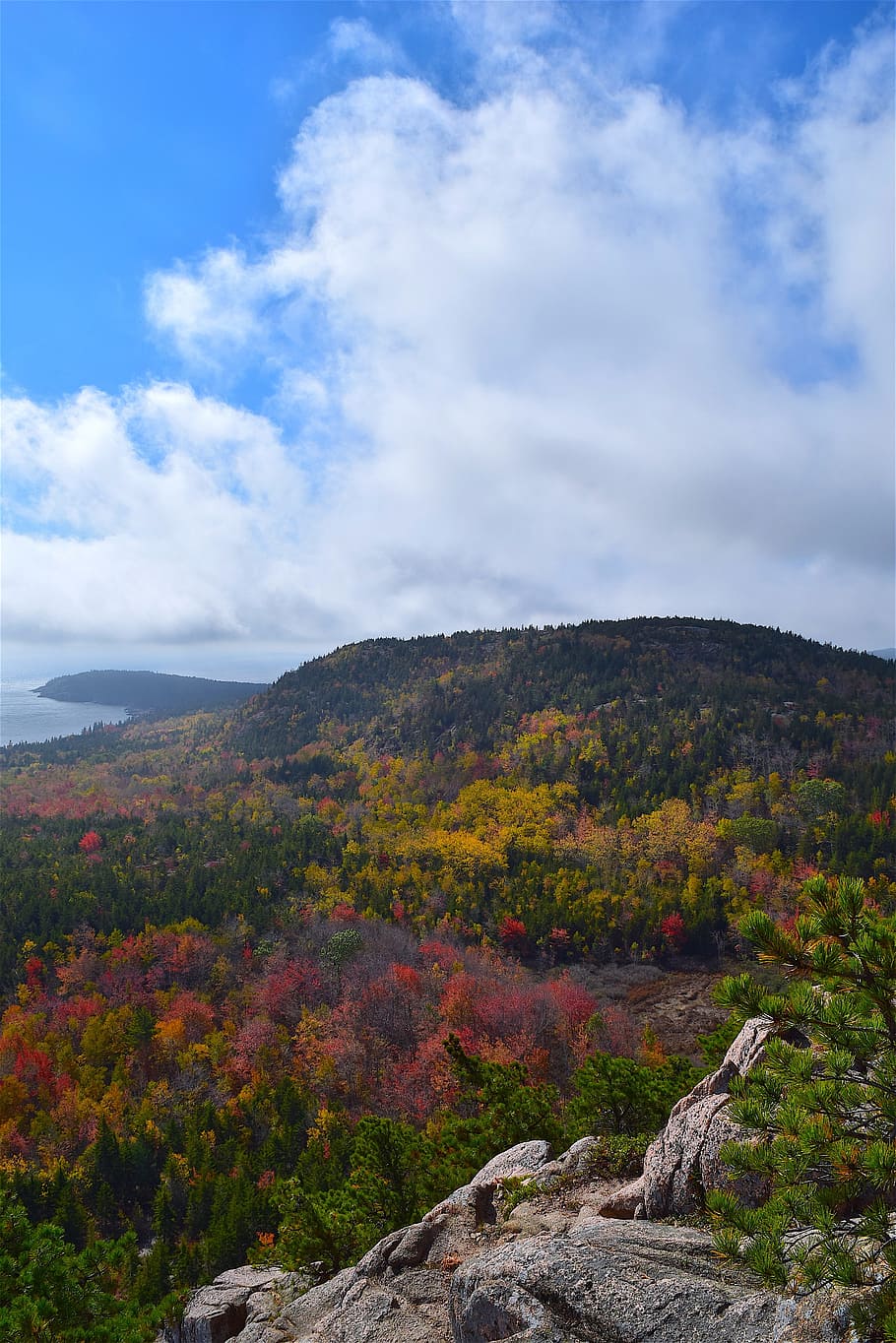 mountain, trees, nature, landscape, coast, sky, clouds, outdoor HD wallpaper
