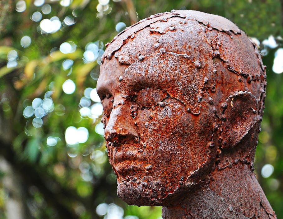 selective focus photograph of metal man bust, art, sculpture