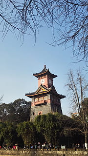 sichuan university, building, tower, tree, architecture, built structure HD wallpaper