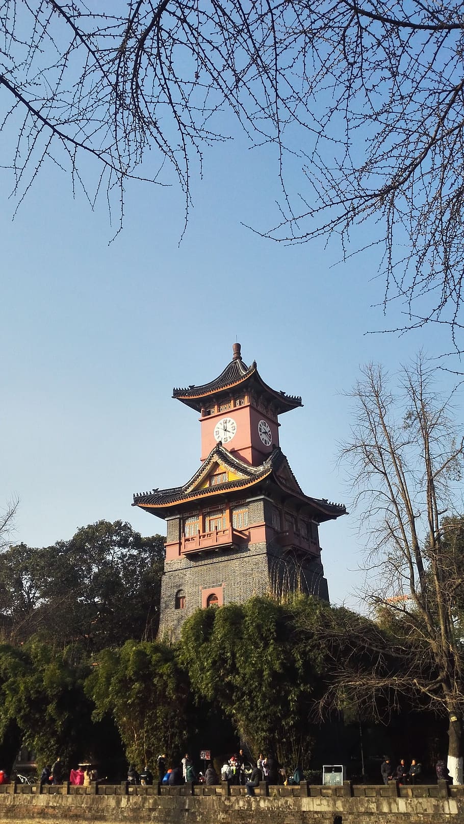 sichuan university, building, tower, tree, architecture, built structure HD wallpaper