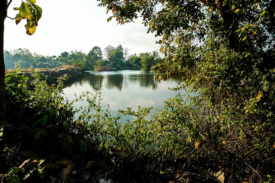 Lake, Landscape, Shrubs, water, reflection, tree, scenics, nature HD wallpaper